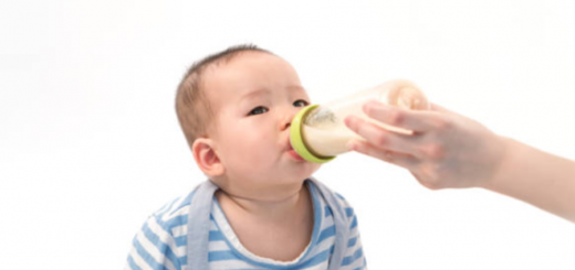 pregnancy food